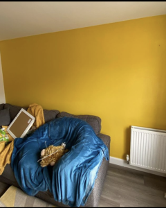 Living Room Feature wall professionally painted Living Room Feature wall professionally painted
